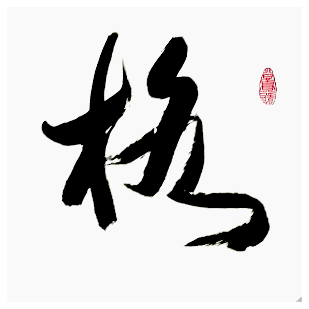 王岳川《格物致知》万龙文化