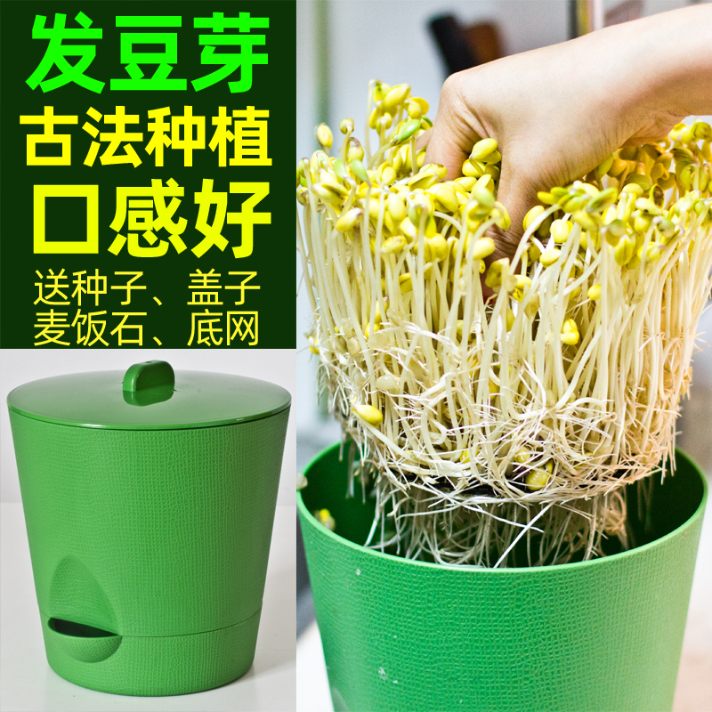 生豆芽水培芽苗菜种植盆桶黄豆绿豆家用塑料树脂育苗盆培育容器