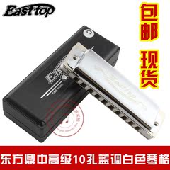 Easttop东方鼎初学10孔布鲁斯口琴成人民谣通用T008白琴格十孔C调