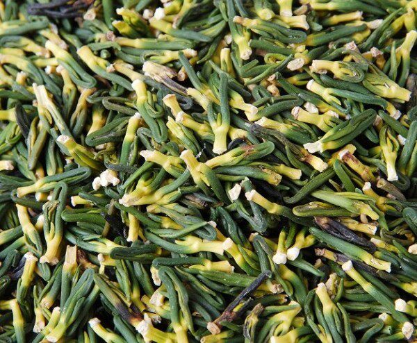 莲子芯 莲子心 农家自产莲子芯 100g