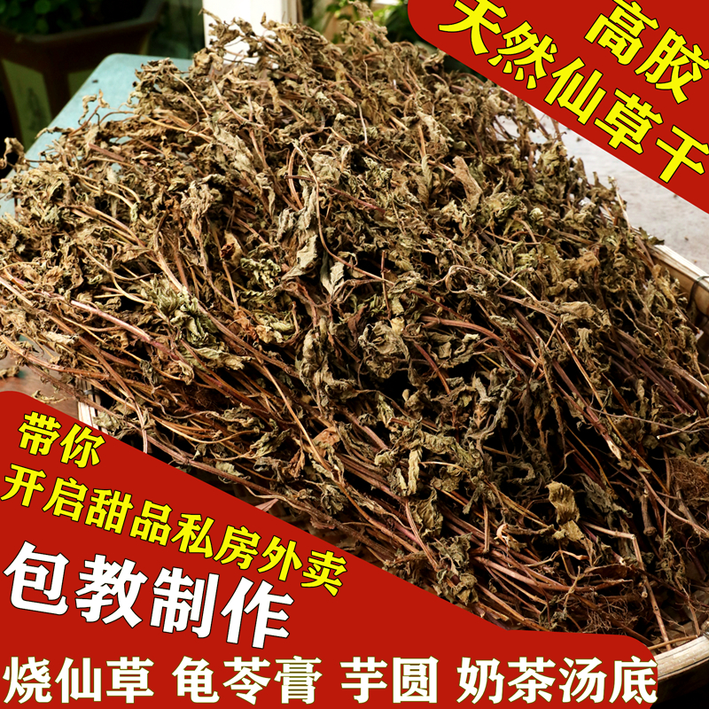 仙草干仙草冻黑凉粉草粿草汁正宗仙人粄草龟苓膏烧仙草 新鲜草干