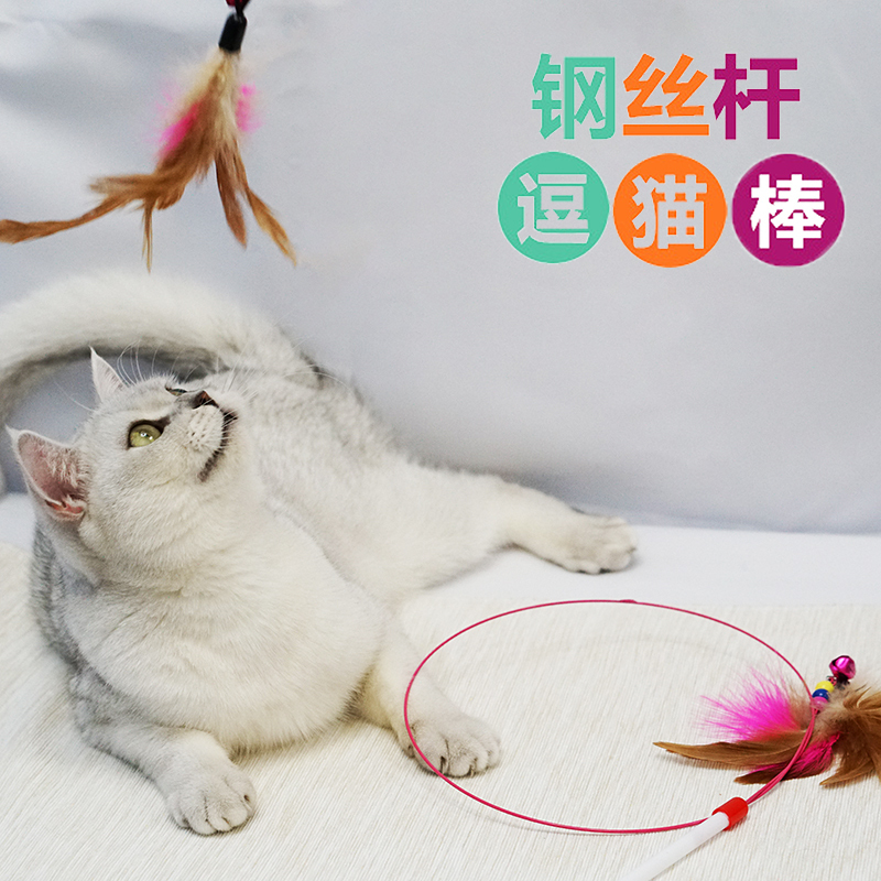 宠物猫咪DIY空中玩具钢丝羽毛双色逗猫棒 希望你敷衍的逗我玩一下在类目 宠物/宠物食品及用品, 猫/狗玩具, 逗猫棒中 - 来自Buy2taobao.com提供专业的淘宝代购服务
