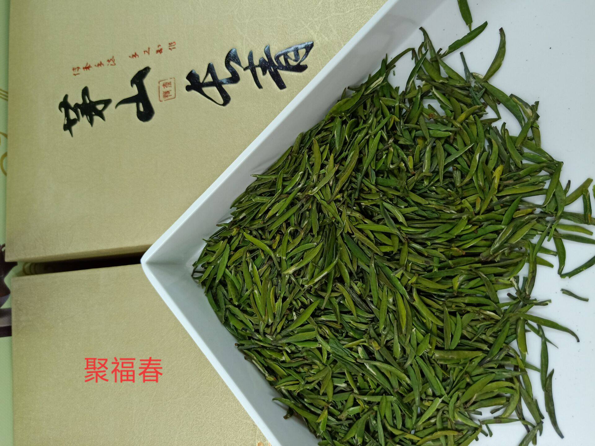 急速发货茅山长青绿茶2021年明前新茶茅山特产茶叶250g老茶农特级