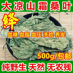 野生冬桑叶养发防脱霜后桑叶茶500g霜桑叶茶桑叶茶三高养生茶包邮