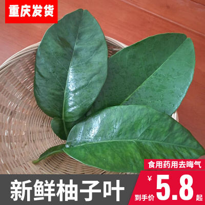 柚子叶