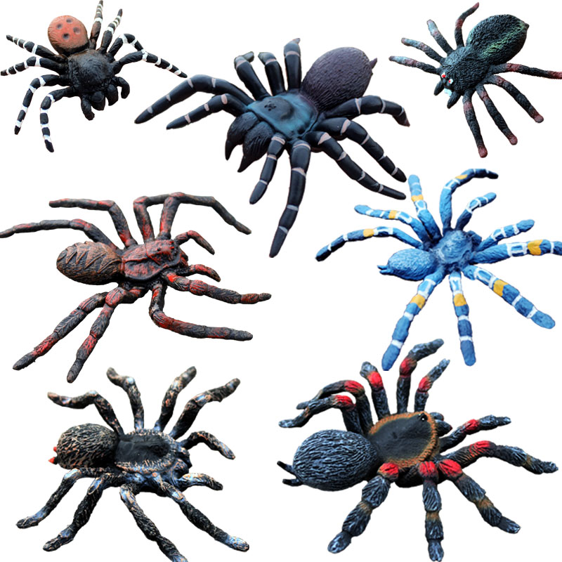 仿真昆虫玩具动物模型大号黑蜘蛛套装儿童认知狼蛛捕鸟蛛漏斗蜘蛛