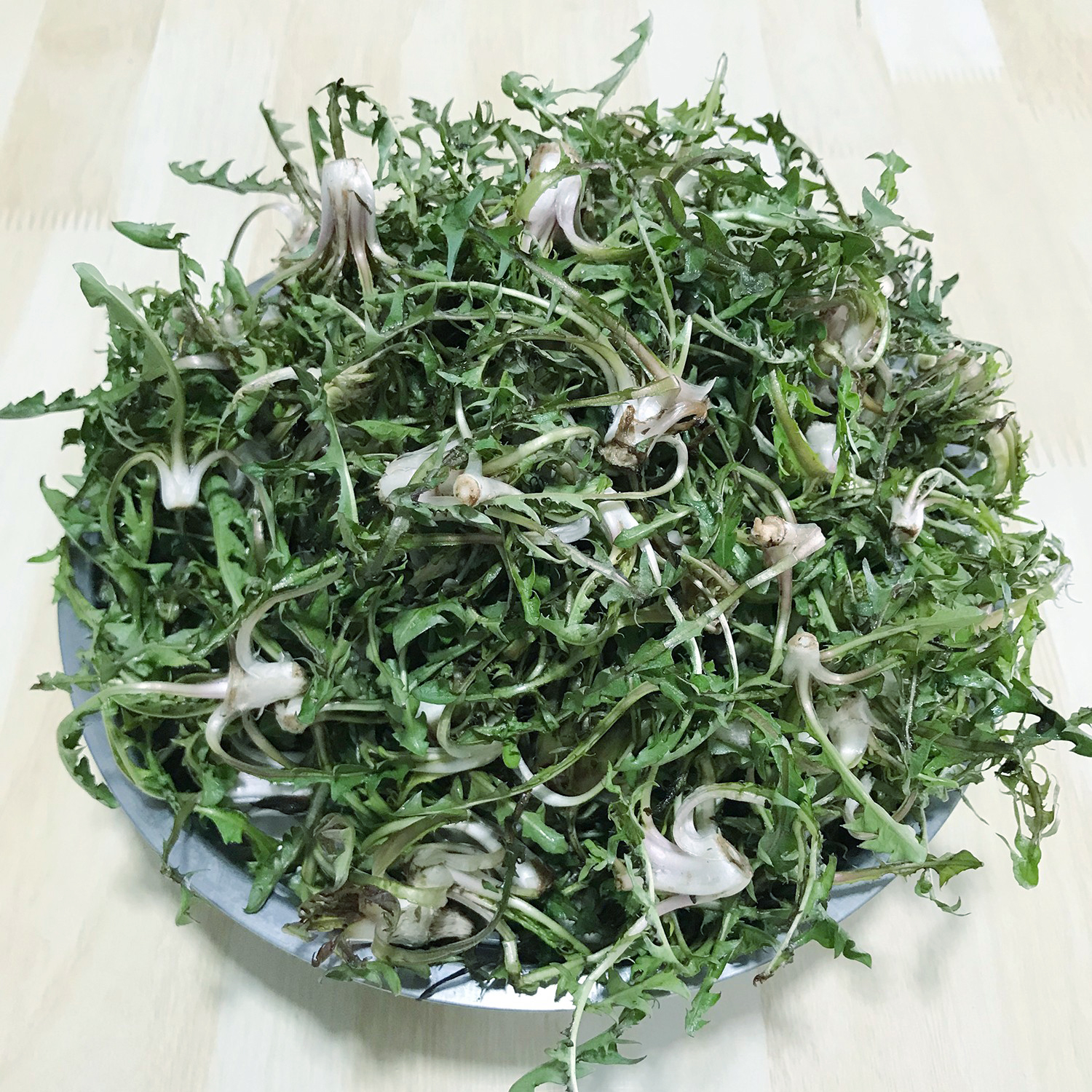 东北新鲜山野菜婆婆丁当天现挖蒲公英蘸酱菜苦菜500g特价顺丰包邮