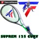 法国泰尼飞壁球拍Tecnifibre Suprem Curv 125专业男女全碳素包邮