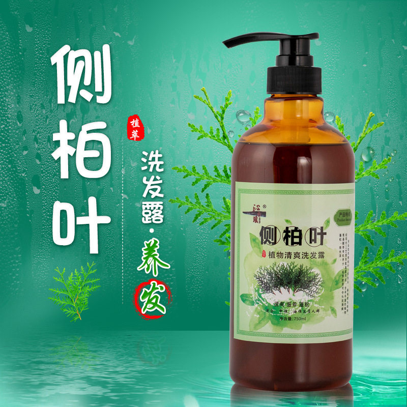 十年老店侧柏叶纯植物洗发水护发修护防脱发控油止痒清爽中性油性
