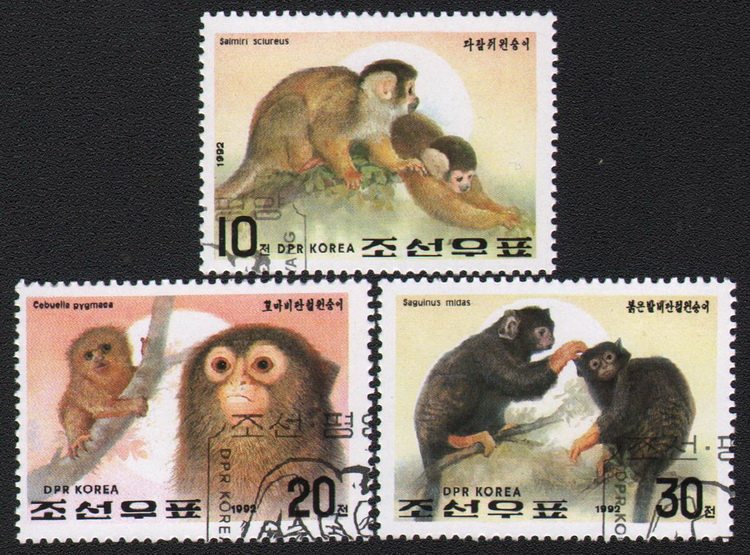 ���r 1992�� �Ї���Ф�������3ȫ ����]Ʊ �w�N