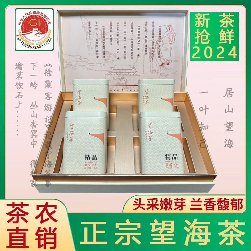 精品望海茶2024年新茶120克礼盒装宁波宁海特产明前高山云雾绿茶