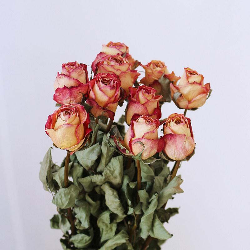 复色a级玫瑰高级感金辉胭脂扣干花