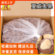 Creamy macadamia nuts 5 jins packed nuts roasted seeds and nuts dried nuts bulk weighing jins wholesale new year snacks