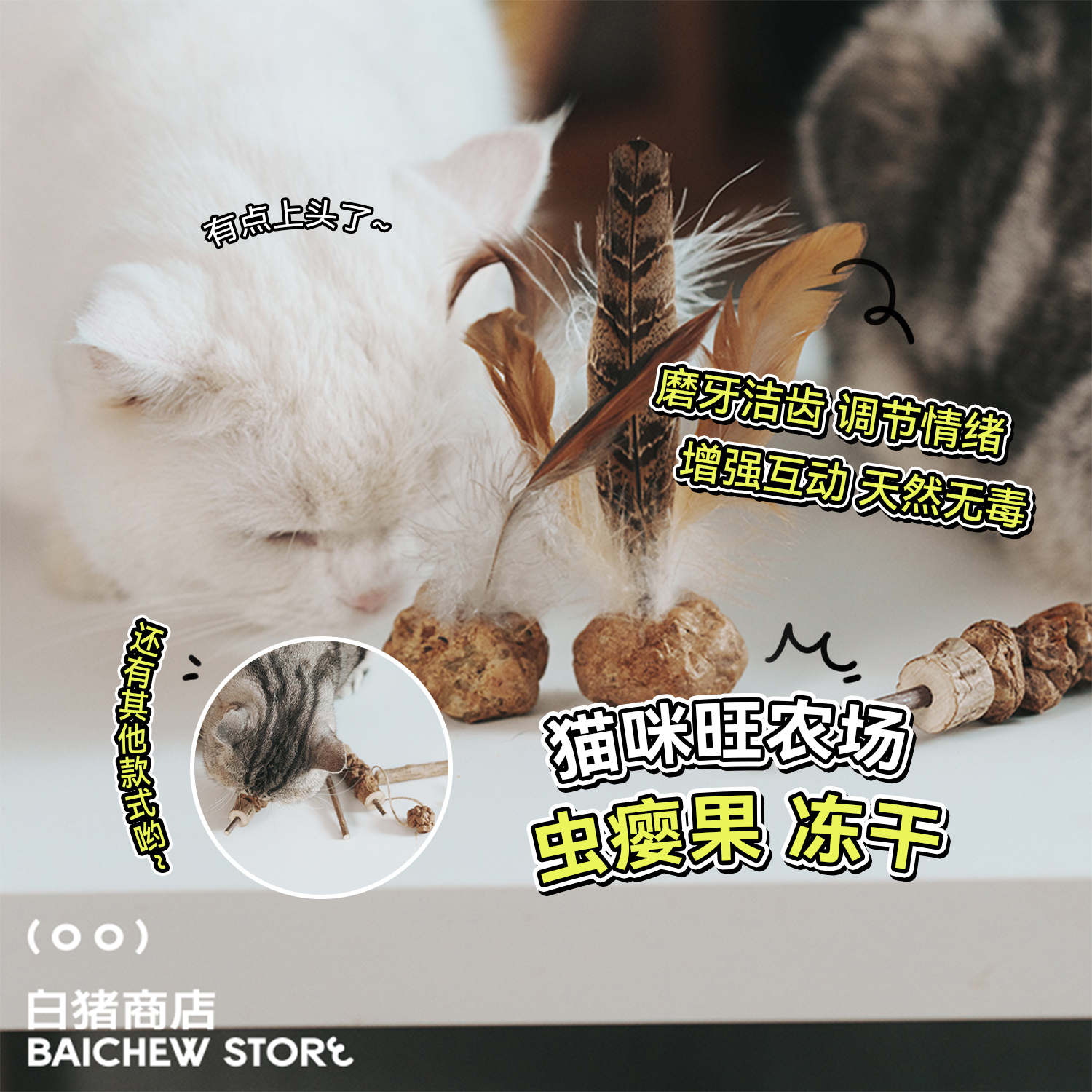 白猪商店 猫爱吸的果子 CATWANT猫咪旺农场虫瘿果猫薄荷逗猫棒