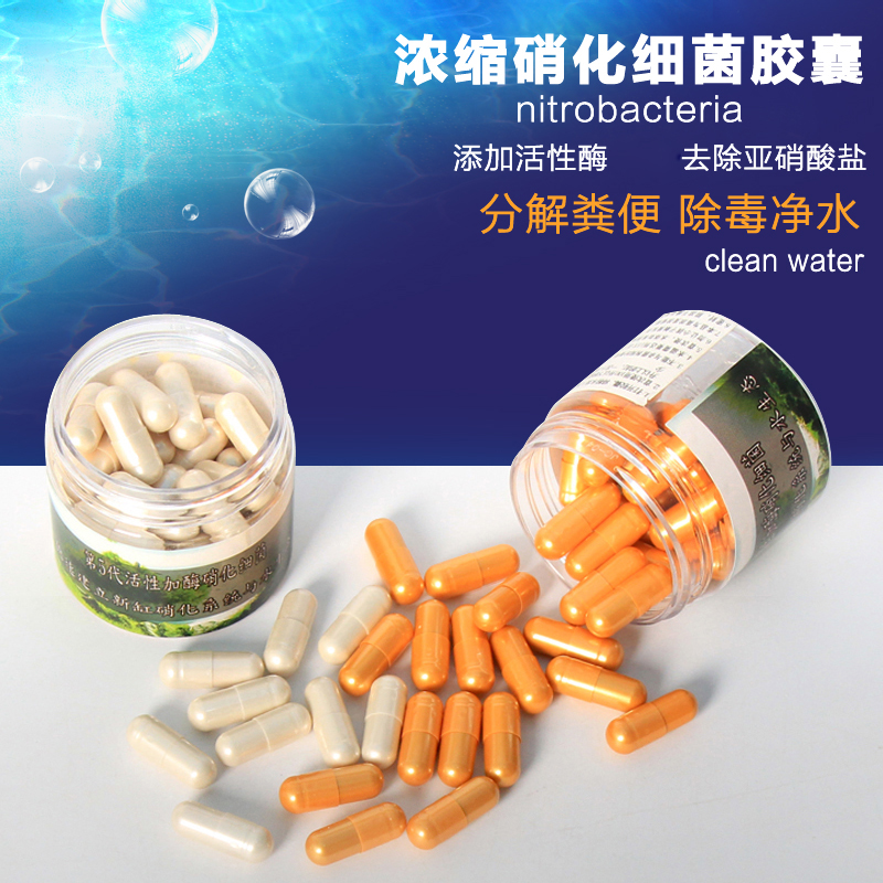 超濃縮硝化細菌膠囊 硝化細菌幹粉每顆100億活菌水族專用兩份包郵在類目 寵物/寵物食品及用品, 水族世界, 硝化細菌中 - 來自Buy2taobao.com提供專業的淘寶代購服務