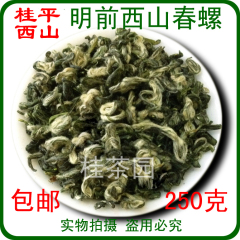 桂平西山茶 春螺 2016明前春茶新茶 广西特产茶叶 碧螺春 绿茶