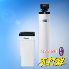 滨特尔中央软水机SFT-1054-56SEM 大流量 全屋软化 别墅式分体