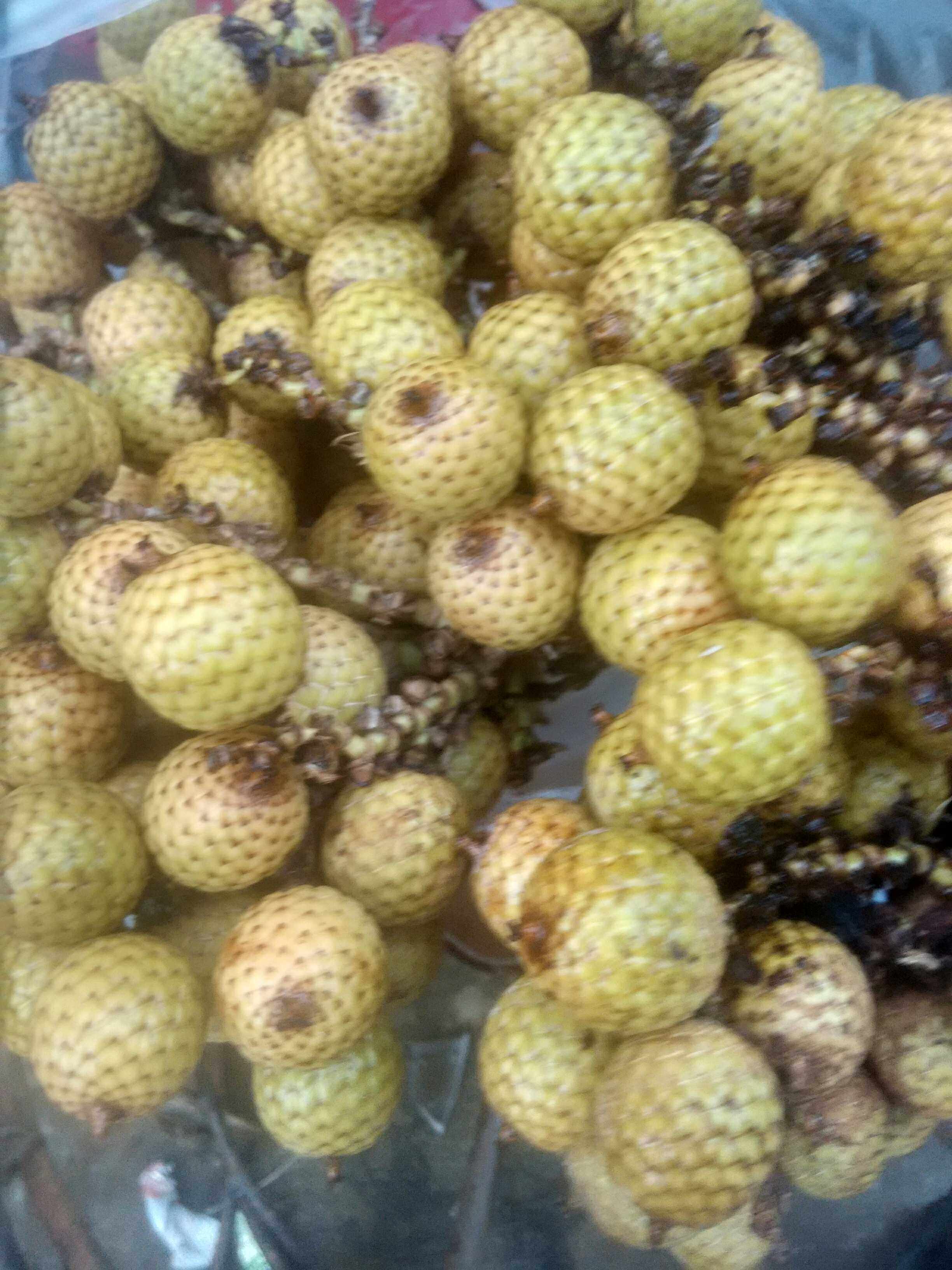 星月菩提子原籽批发大额优惠券