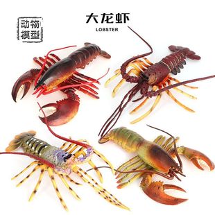 4款38cm大龙虾模型实心波士顿澳洲龙虾仿真海洋动物儿童玩具摆件