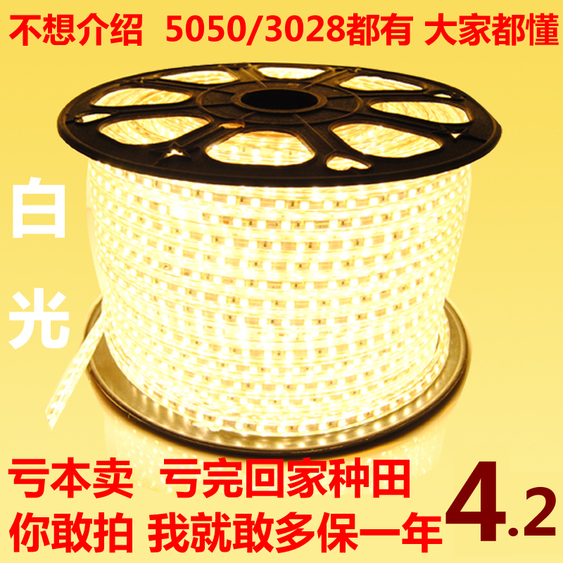 正品5050/3528LED灯带 贴片灯带 LED灯条高亮光带超亮吊顶灯带