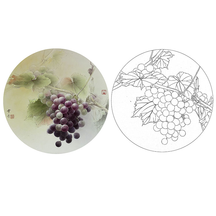 工笔画白描底稿实物勾线白纸打印稿龚雪青葡萄小品国画