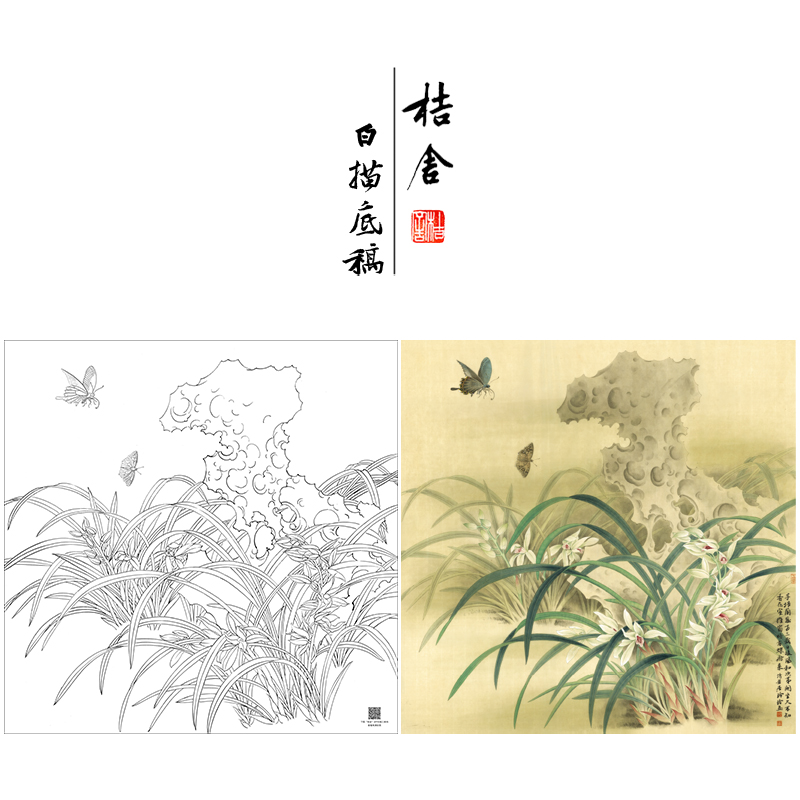 【大彩图】工笔画白描底稿蝴蝶兰花小品《风吹香蕊蝶飞来》ZLA1