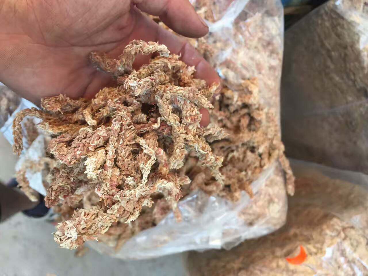 刺客智利进口五星水苔 满18元包邮