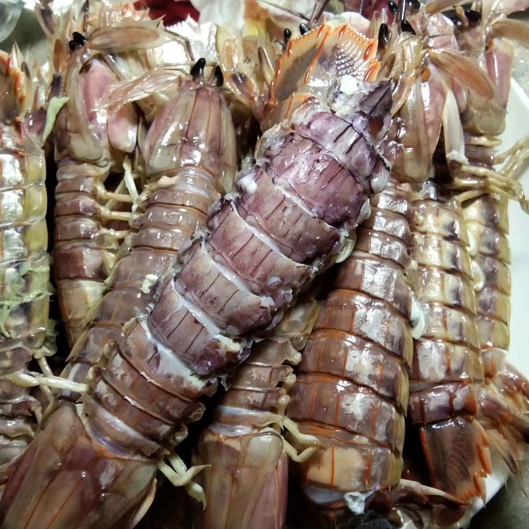 皮皮虾鲜活 虾爬子丹东大额优惠券