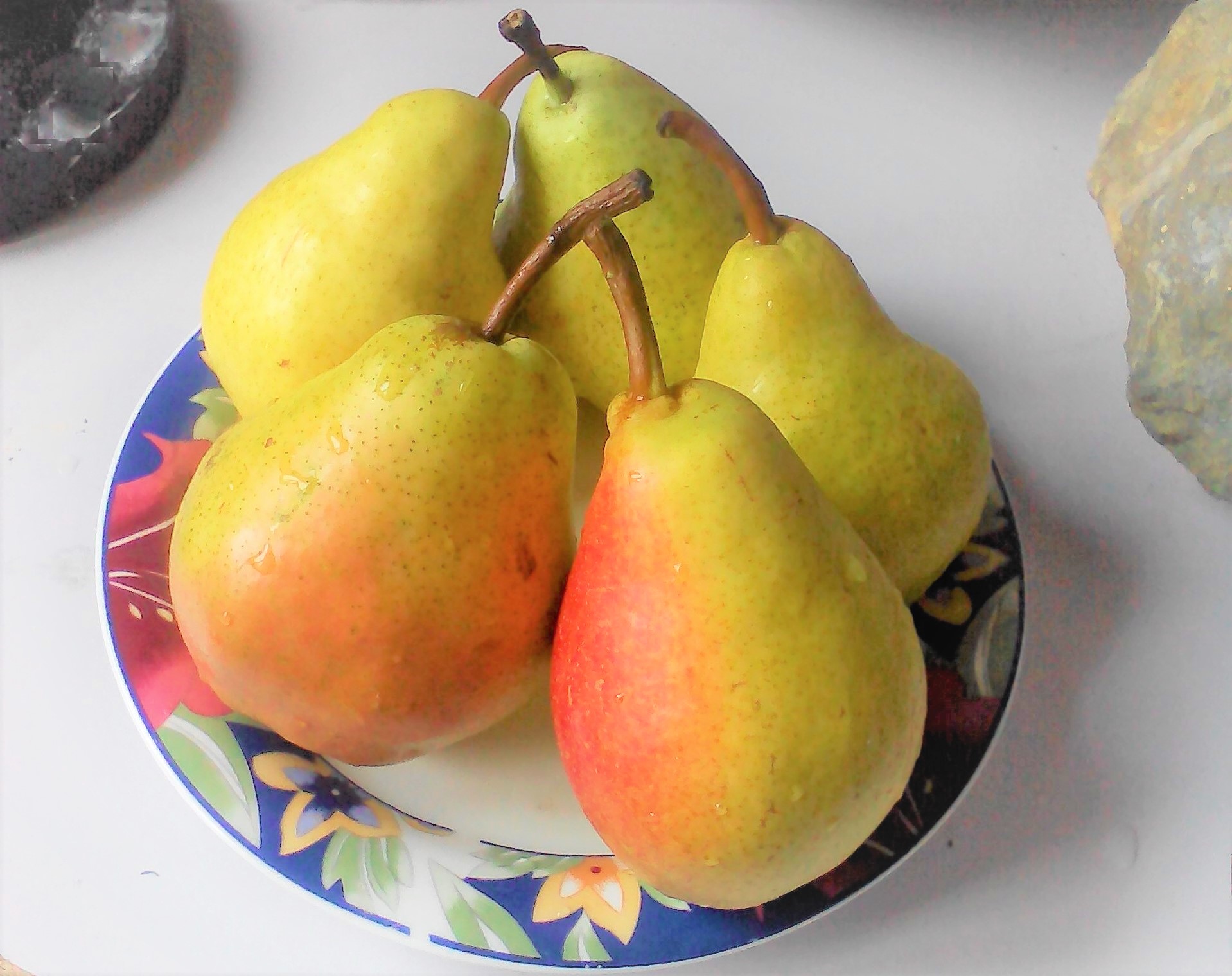 山东烟台伏洋梨抹红啤梨大头梨青啤梨子葫芦梨软糯香甜包邮现摘10