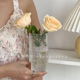 法式复古海棠花浮雕花瓶ins风透明玻璃花瓶客厅鲜花水养插花摆件