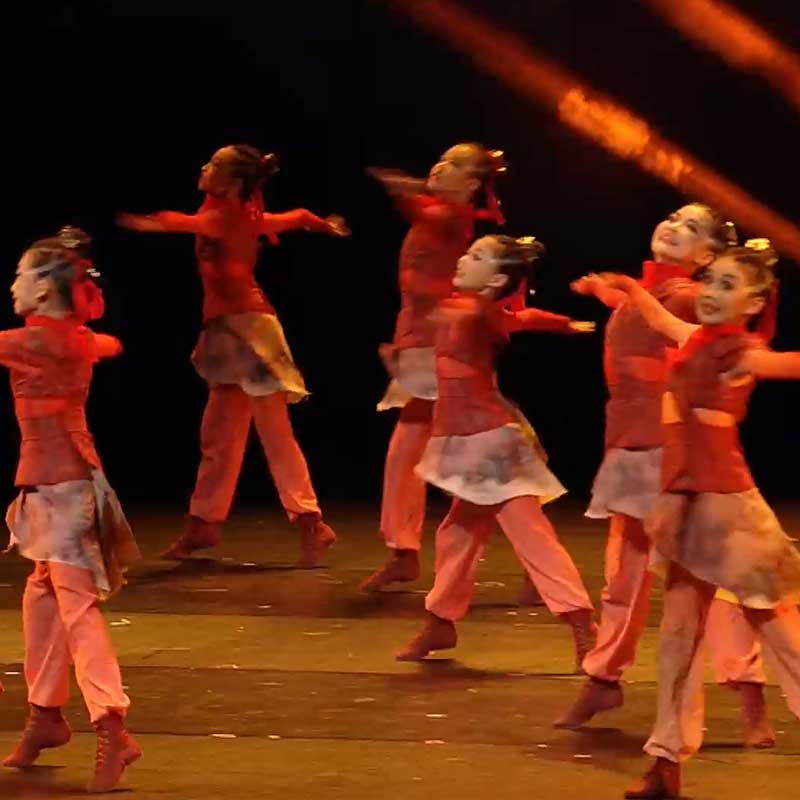 十二届在现花木兰演出服中国舞表演服民族舞蹈服六一中小学生服装
