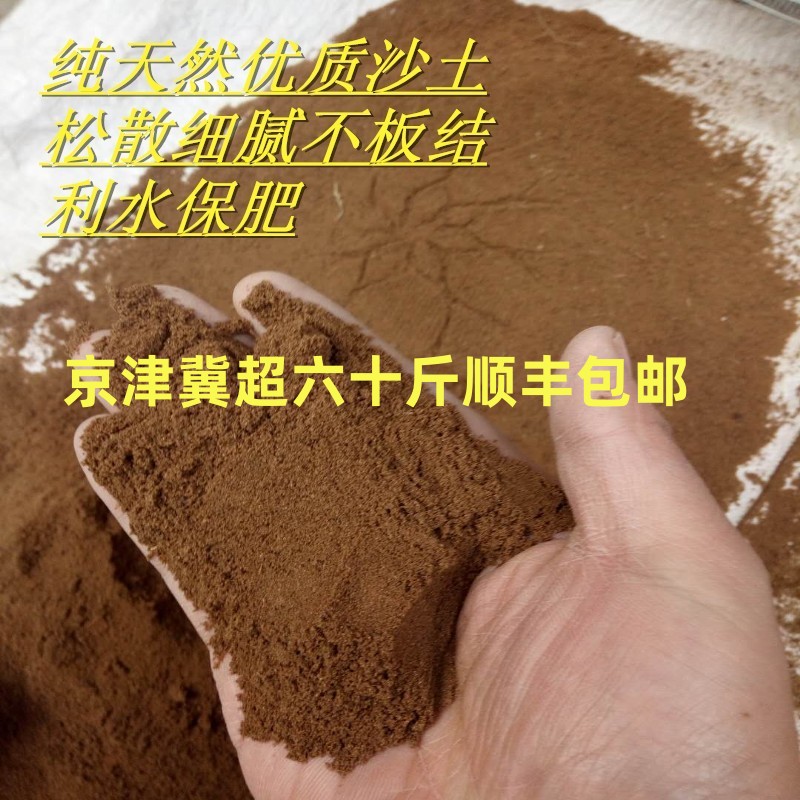 纯天然细沙土种植土多肉配土沙质土沙壤土沙土盆栽盆景通用沙土壤