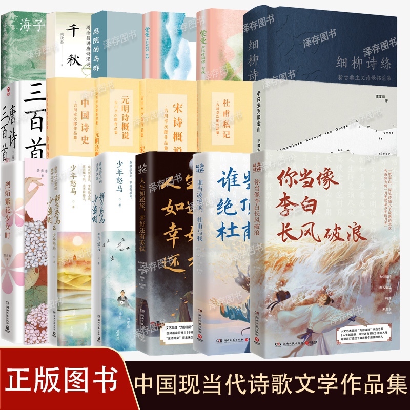 任选正版 海子诗选李白来到旧金山杜甫私记宋诗概说元明诗概说中国诗史唐诗三百首蒙曼女性诗词课等中国现当代诗歌文学作品集书籍