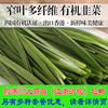 嘉仕有機韭菜200g時令新鮮有機蔬菜特産生鮮農産品現摘配送滿包郵 嘉仕有機韭菜200g時令新鮮有機蔬菜特産生鮮農産品現摘配送滿包郵