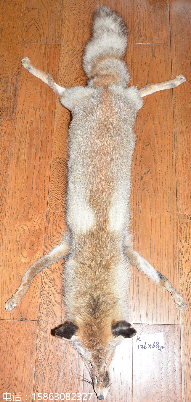 特大整张狐狸皮披肩 围脖k 真皮毛衣领 裘皮服饰真皮草 冬季保暖