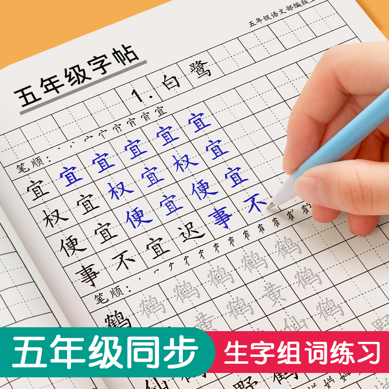 五年级字帖练字帖上册下册语文人教版