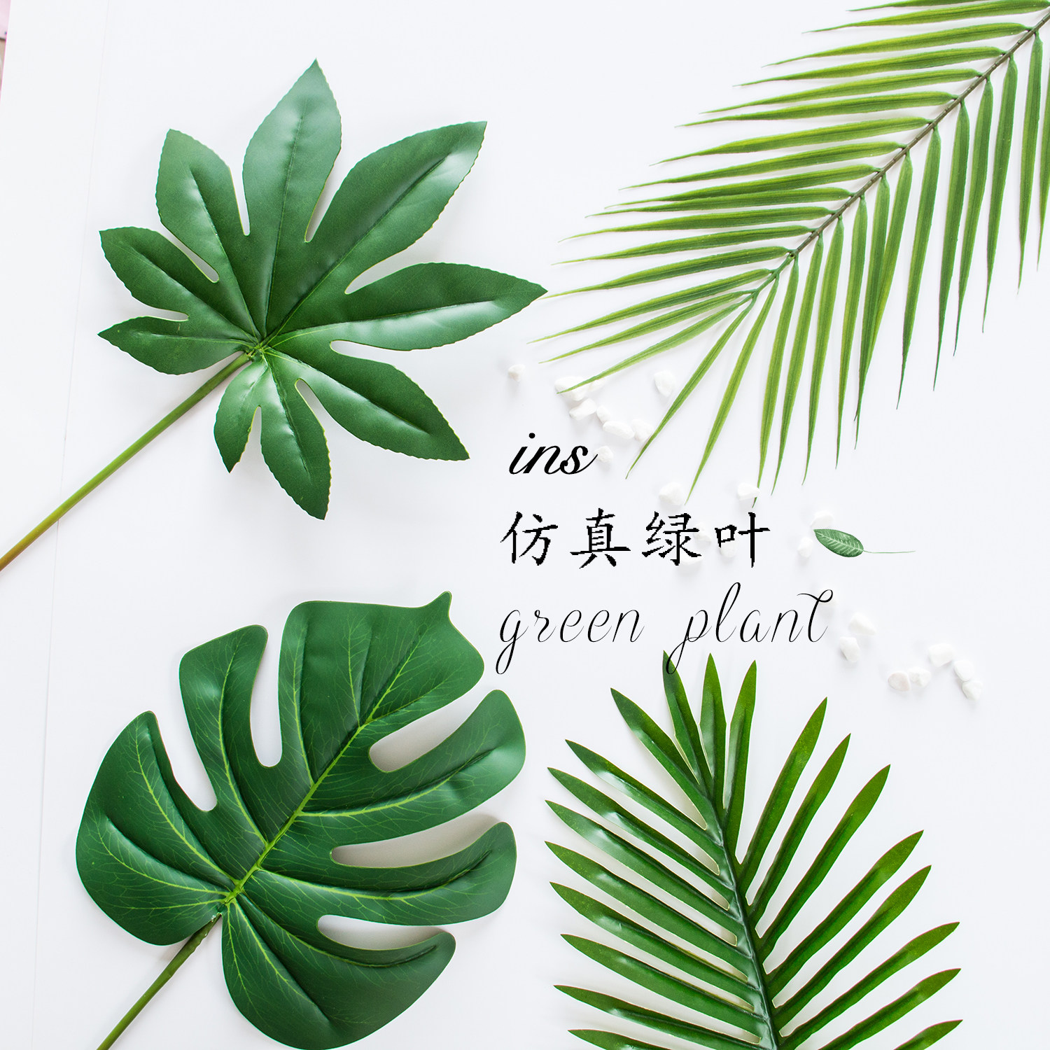 ins绿植树叶子拍照道具龟背叶尤加利美食化妆品摄影背景布景装饰