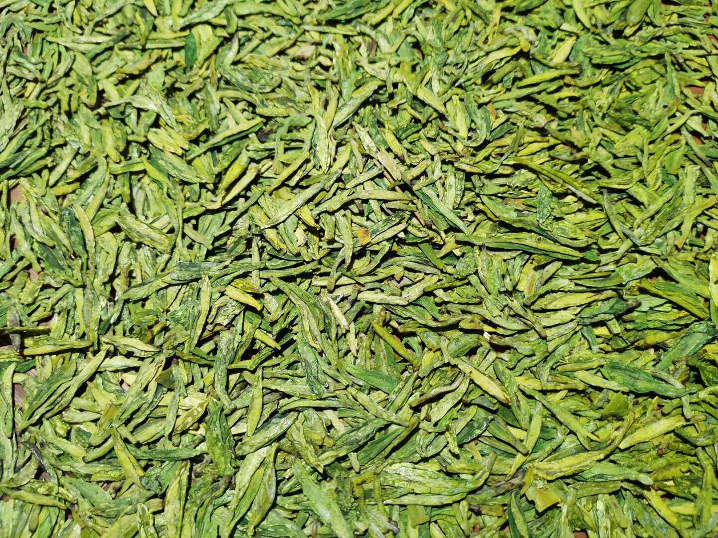 2021新茶早茶一斤茶叶龙井特级正宗浓香型散装龙井春茶清仓500g