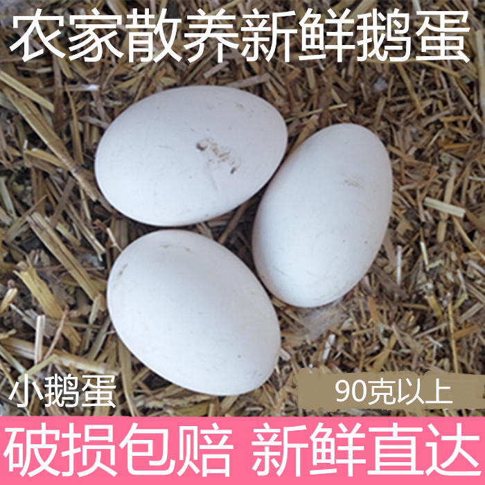 农家散养新鲜小鹅蛋 孕妇去胎毒土鹅蛋 纯天然草鹅蛋 包邮