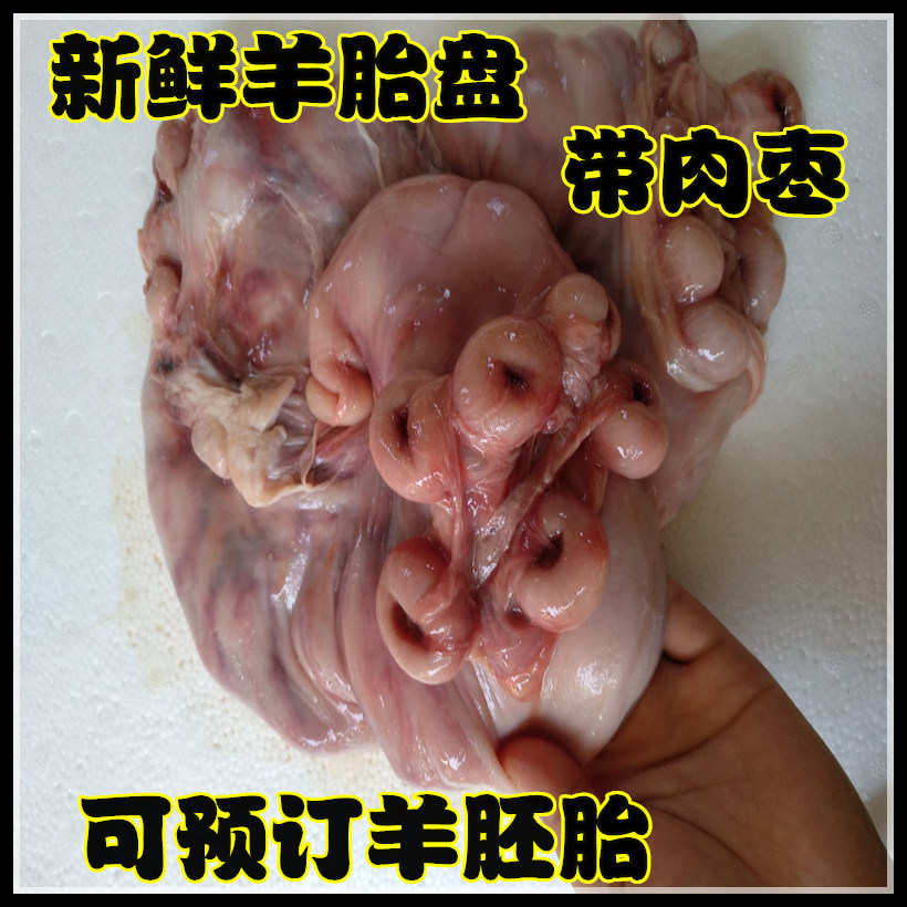新鲜羊胎盘 羊子宫 羊肉枣 羊胚胎 食疗偏方 4份包邮江浙沪皖鲁在类目 水产肉类/新鲜蔬果/熟食, 生肉/肉制品, 羊肉类, 生羊肉中 - 来自Buy2taobao.com提供专业的淘宝代购服务