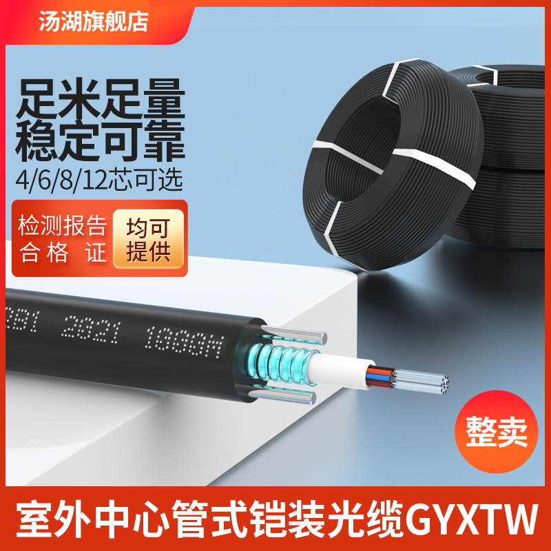 汤湖 GYXTW 中心管式轻铠装光缆4芯室外光缆4芯单模光缆4/6/8/12芯光纤线