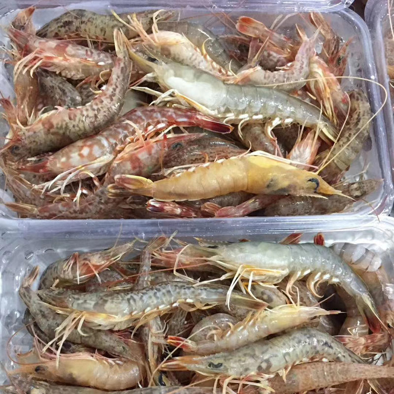 【争鲜海鲜】野生樱花虾杂虾 沙虾 剑虾 小海虾