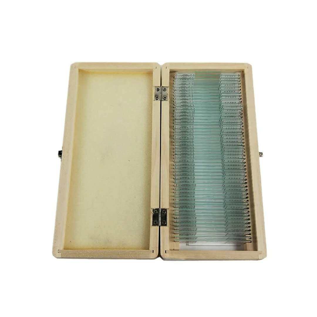 43308一盒50片团藻装片木盒盒装初中初中生生物教学仪器