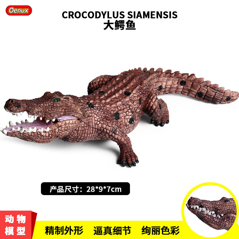 仿真鳄鱼模型儿童玩具大号野猪鳄帝王鳄长吻鳄尼罗鳄鱼动物摆件