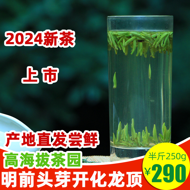 绿茶2024新茶开化龙顶雀舌茶叶清