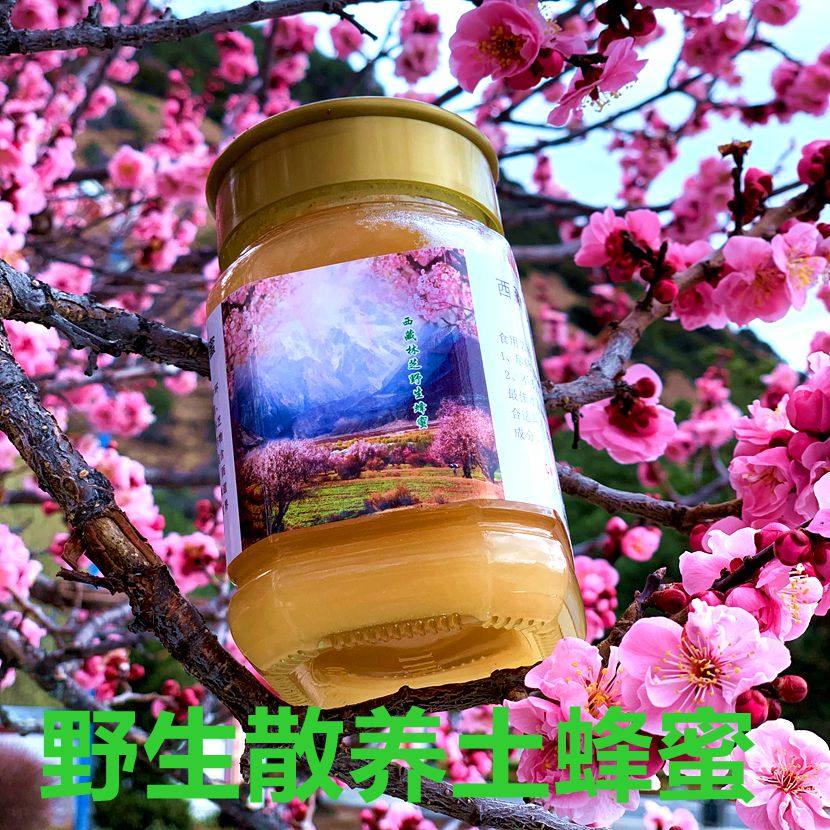 西藏天然桃花蜜百花蜜土蜂蜜500克散养结晶蜂密蜂蜜桃花老蜂王蜜