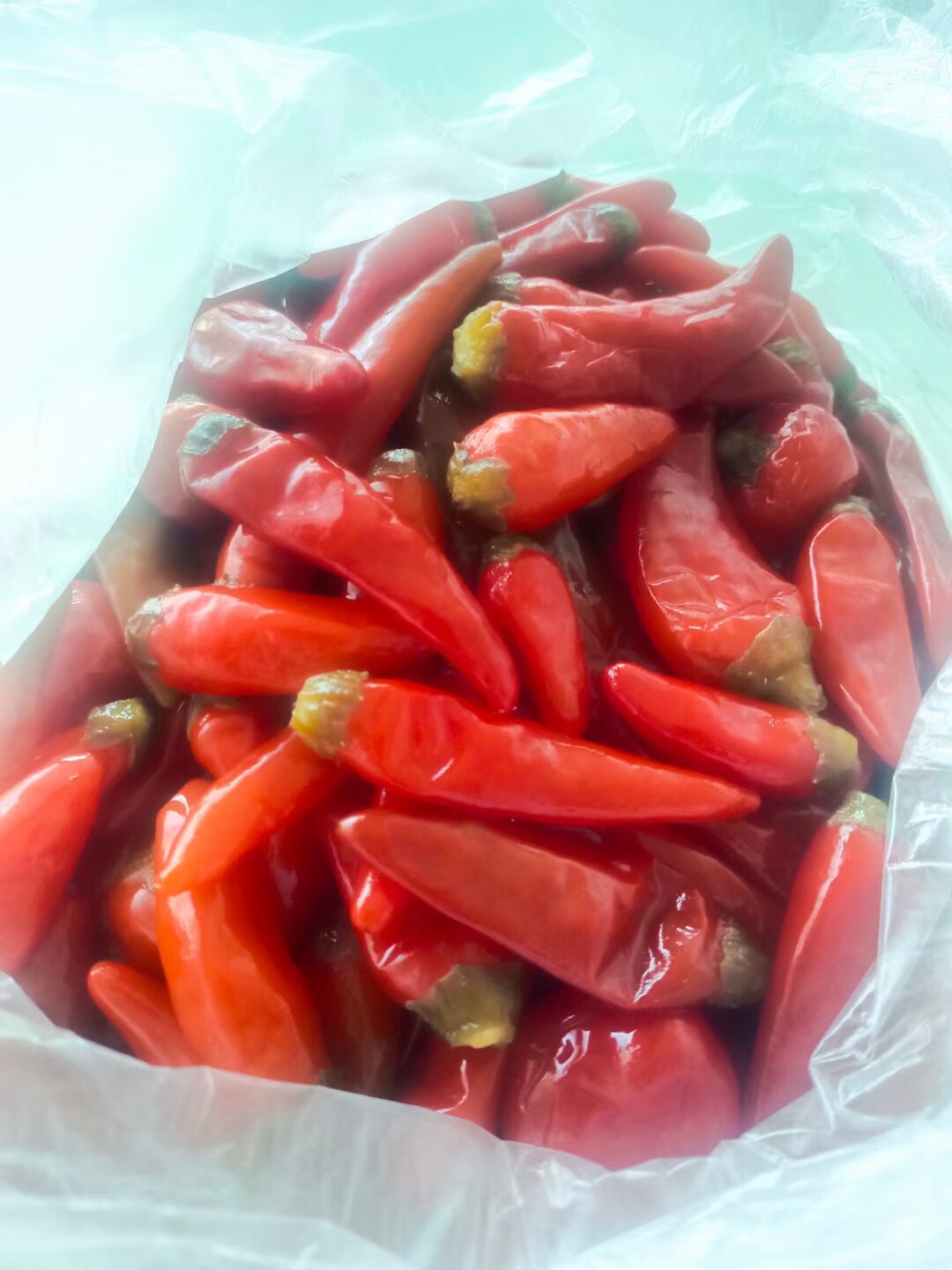 新鲜全州酸辣椒可泡椒薄皮红辣椒桂林酸海椒肉厚广西自制泡椒中辣