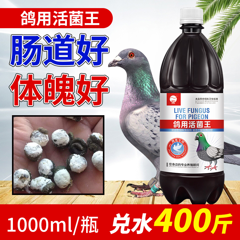 活菌王鸽用活菌调理肠道信鸽幼赛鸽拉稀水便绿便鸽子药大全常见病