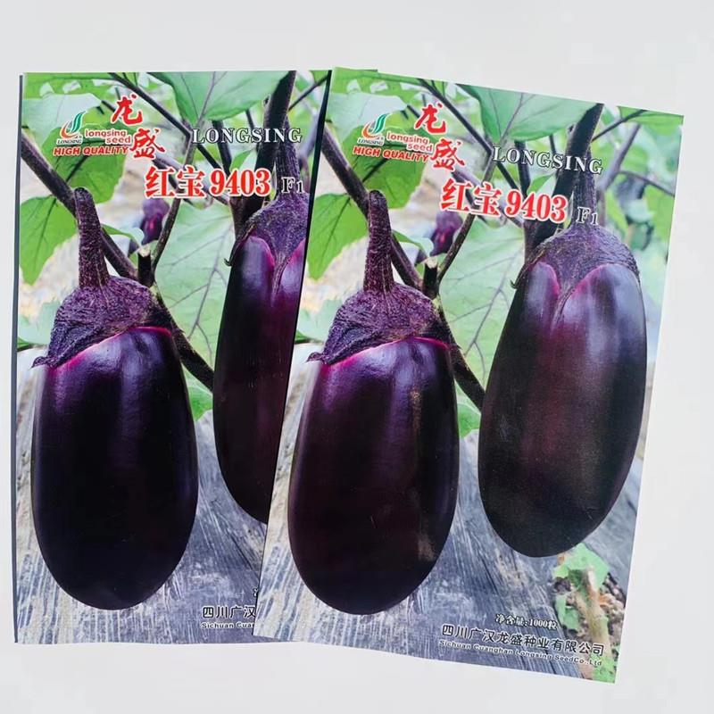 椭圆紫红茄种子早熟杂交一代灯泡形紫红茄子南北方春夏秋季蔬菜种