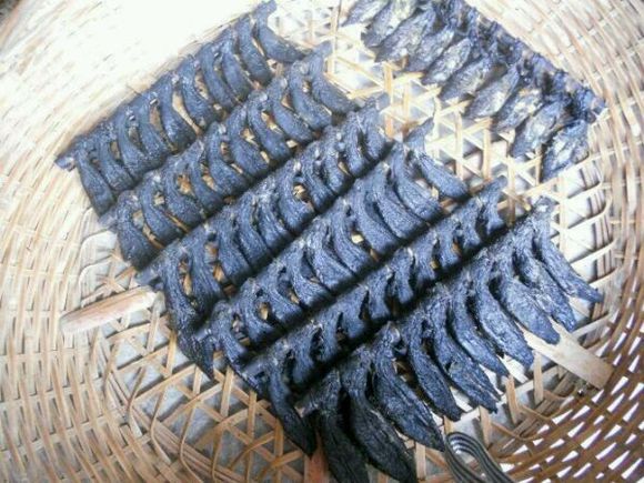 三门特产纯野生跳跳鱼干弹涂鱼干孕妇补品海鲜干货舌尖鱼干|msdalam kategori daging perikanan/Buah-buahan segar dan sayur-sayuran/dimasak, makanan laut/produk akuatik/produk, lain - dari Buy2taobao.com untuk memberikan perkhidmatan ejen Taobao profesional membeli